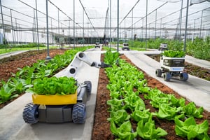 Agricultural robot
